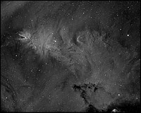 NGC2264_2011.jpg