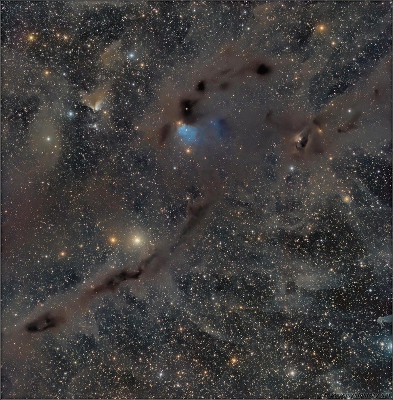 Click to view the full size image:
2200 x 2243, 932 KB