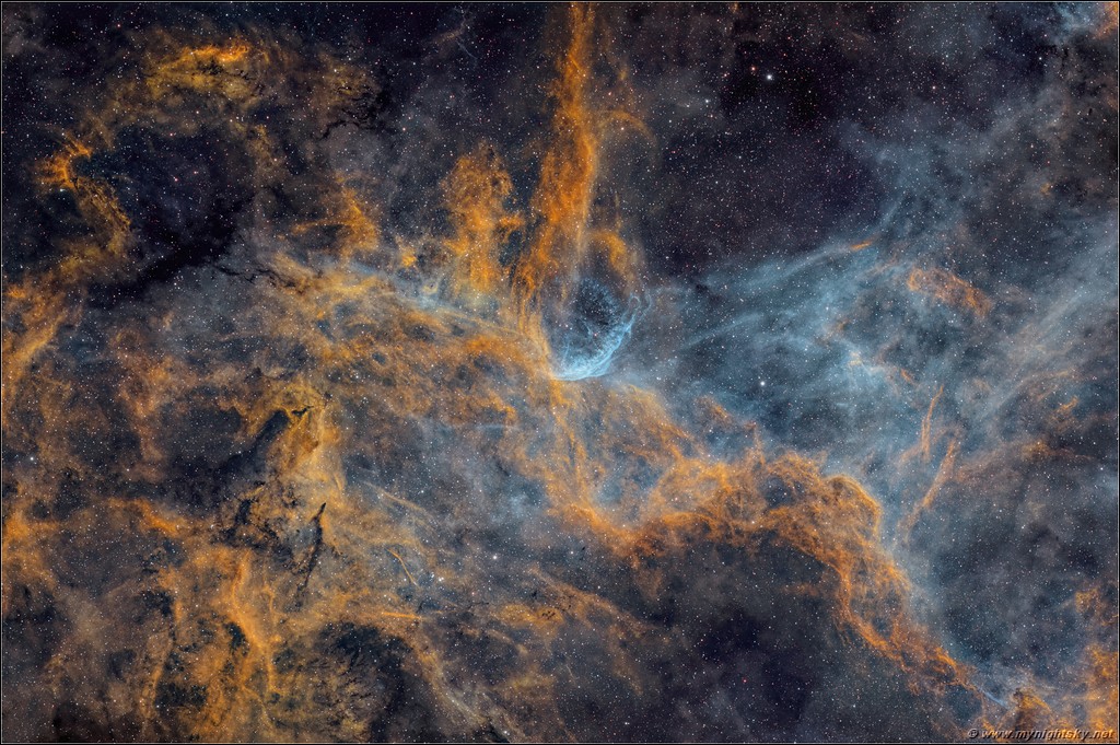 Click to view the full size image:
3200 x 2127, 6.75 MB