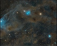 IC 4592c-Blue-Horse, 2021.jpg